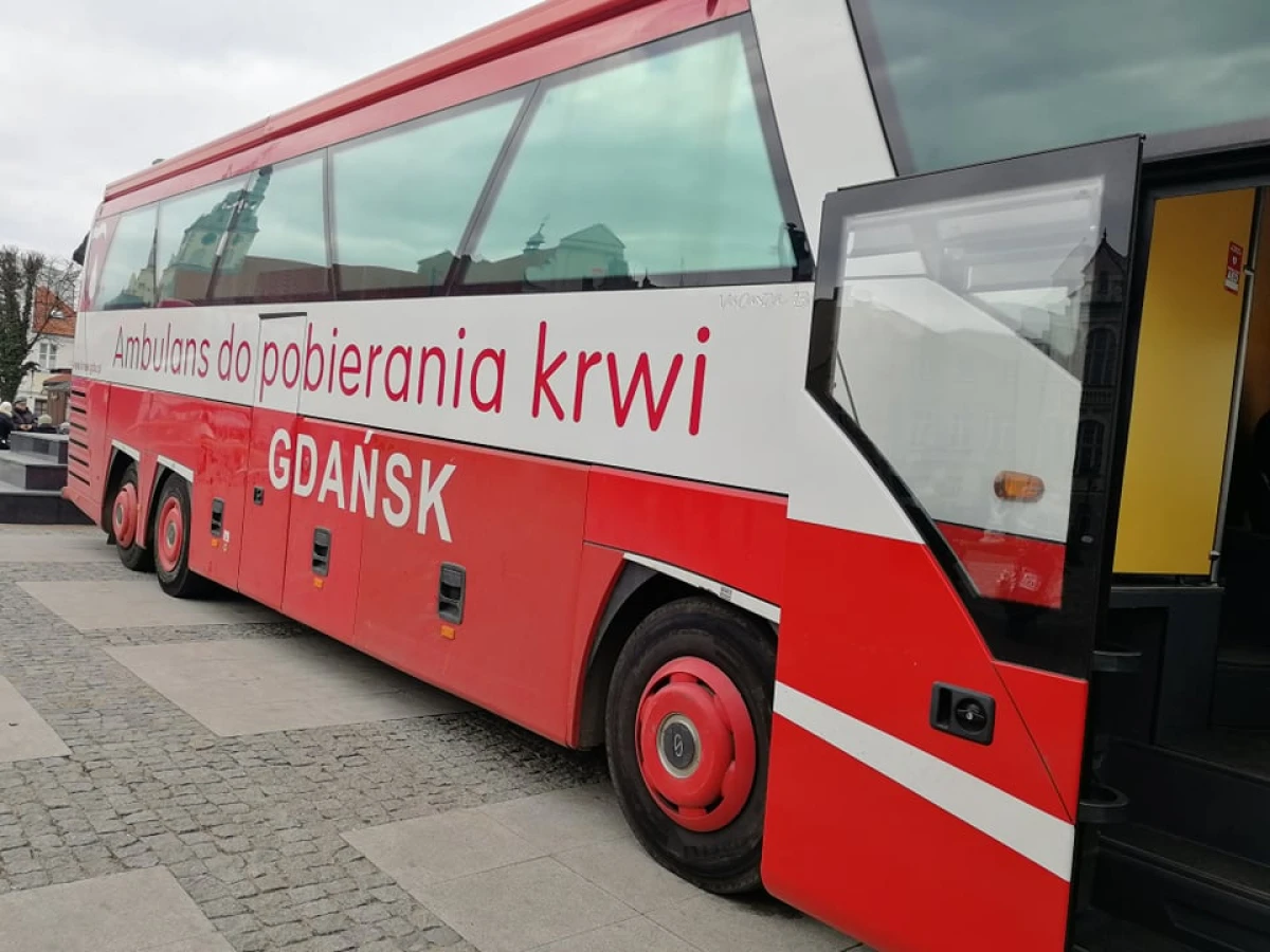 Zdjęcie