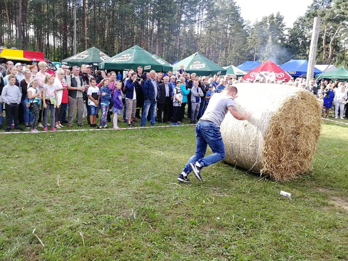 Zdjęcie