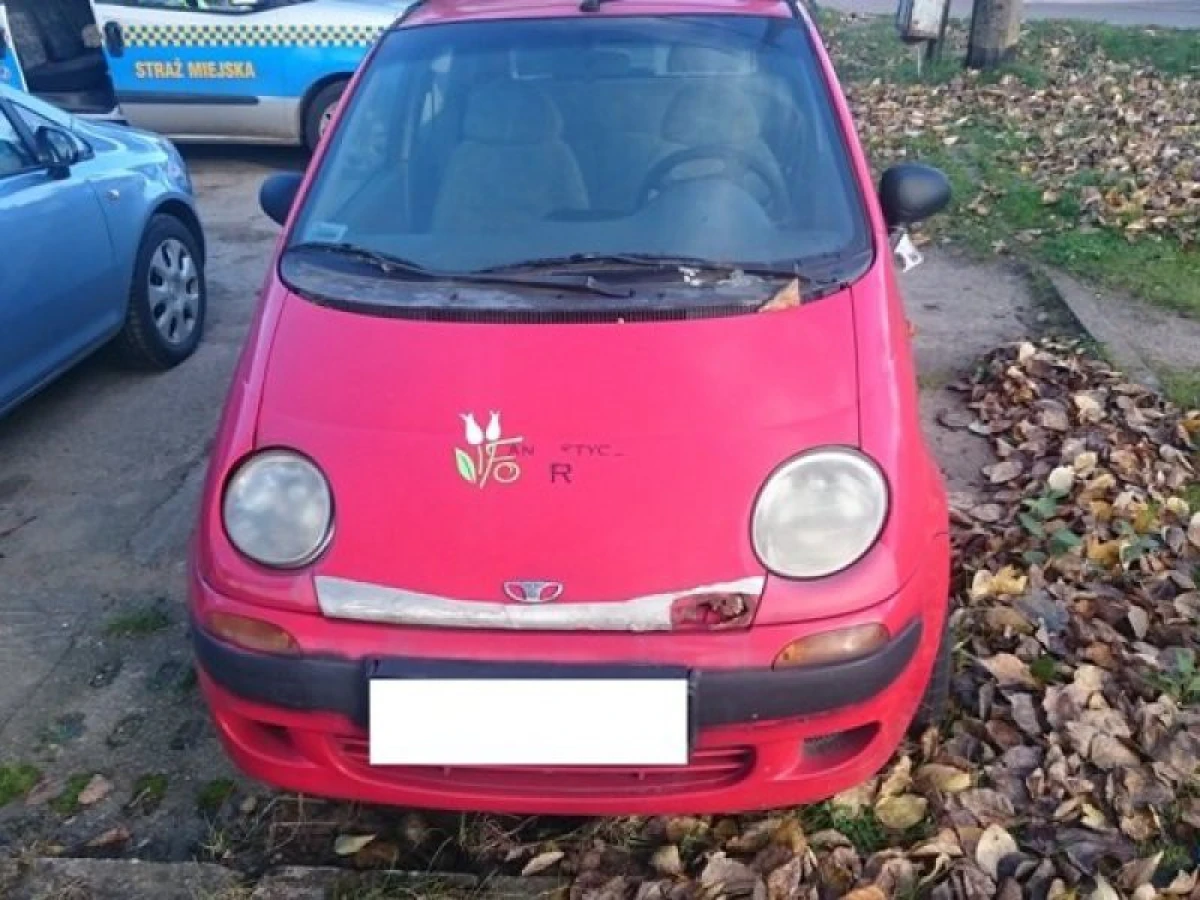 Zdjęcie