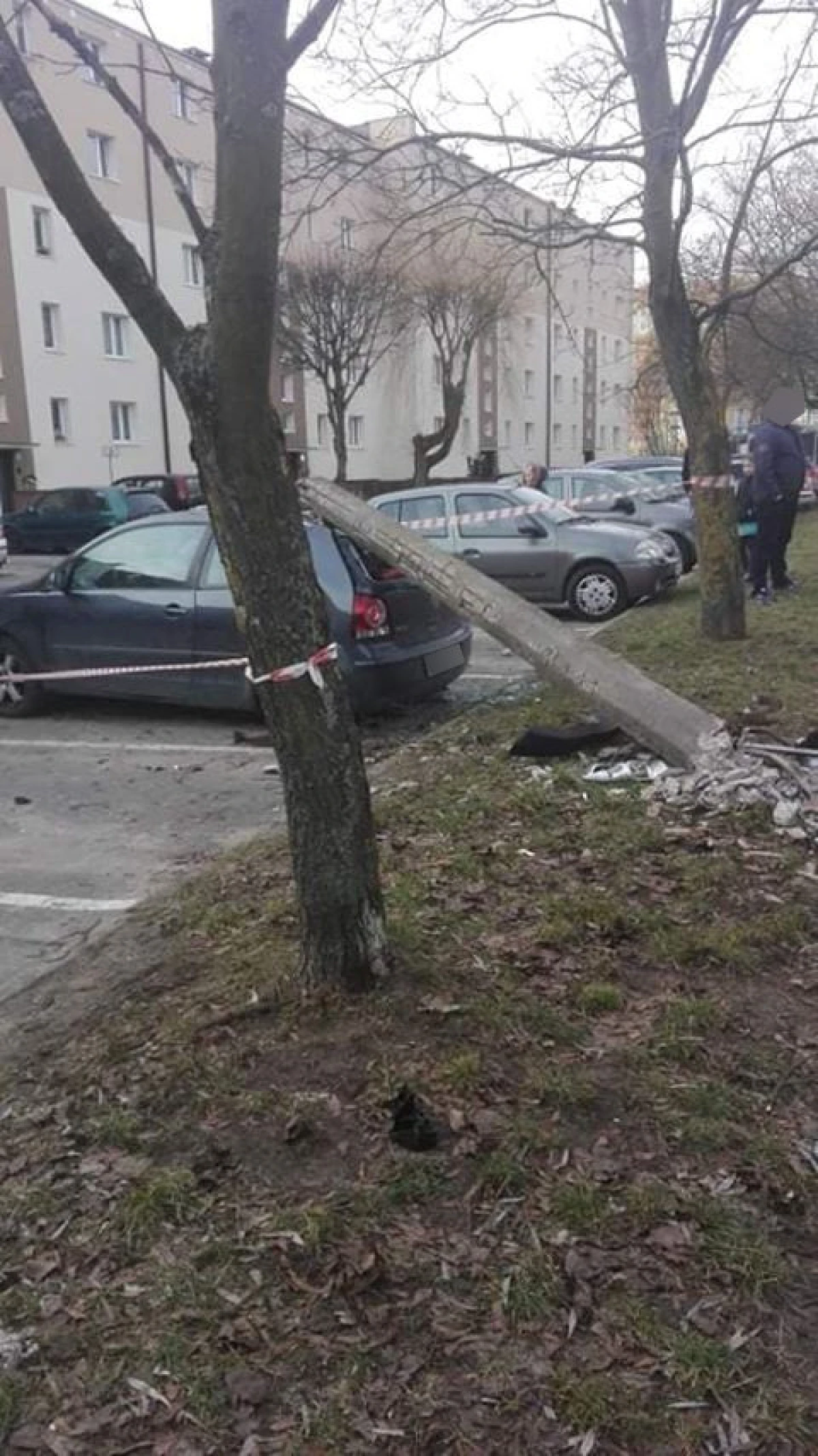 Zdjęcie