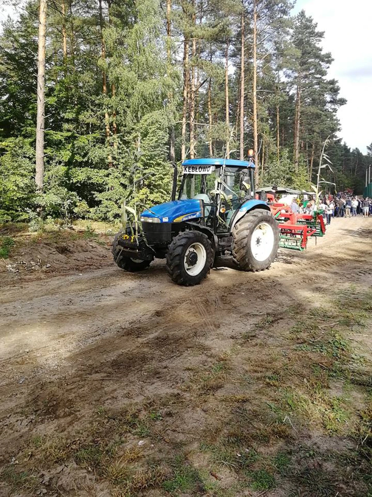 Zdjęcie