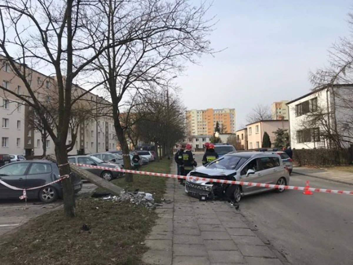 Zdjęcie