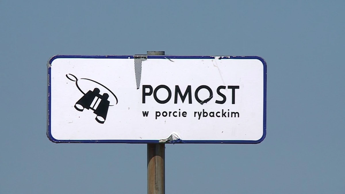 Zdjęcie