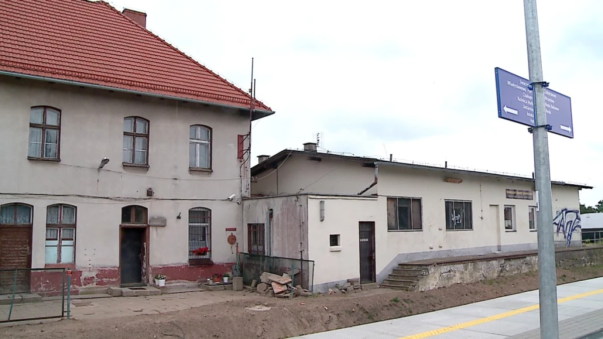 Zdjęcie
