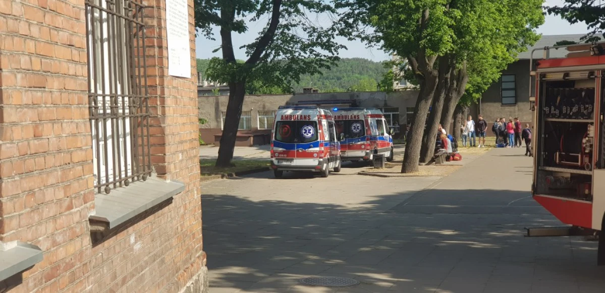 Zdjęcie