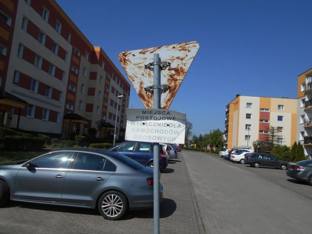 Zdjęcie