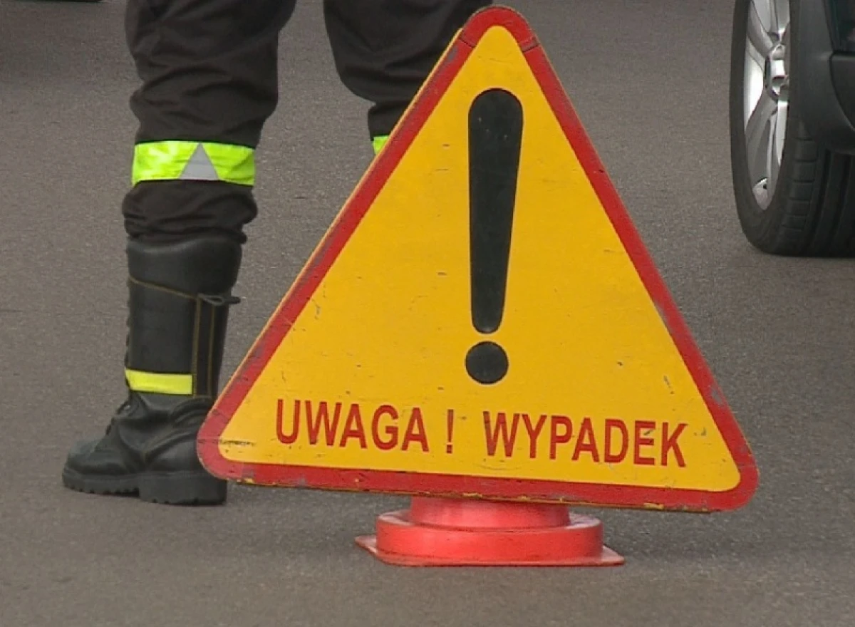Zdjęcie