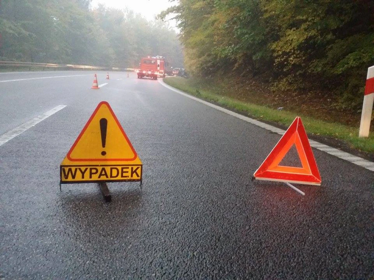 Zdjęcie