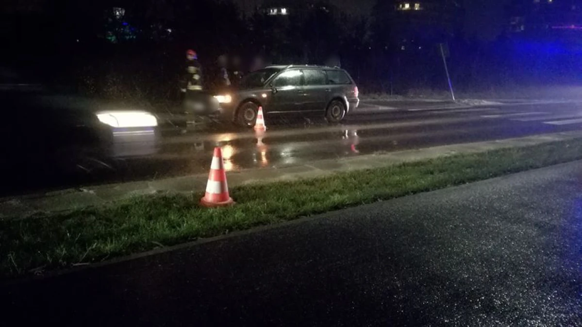 Zdjęcie