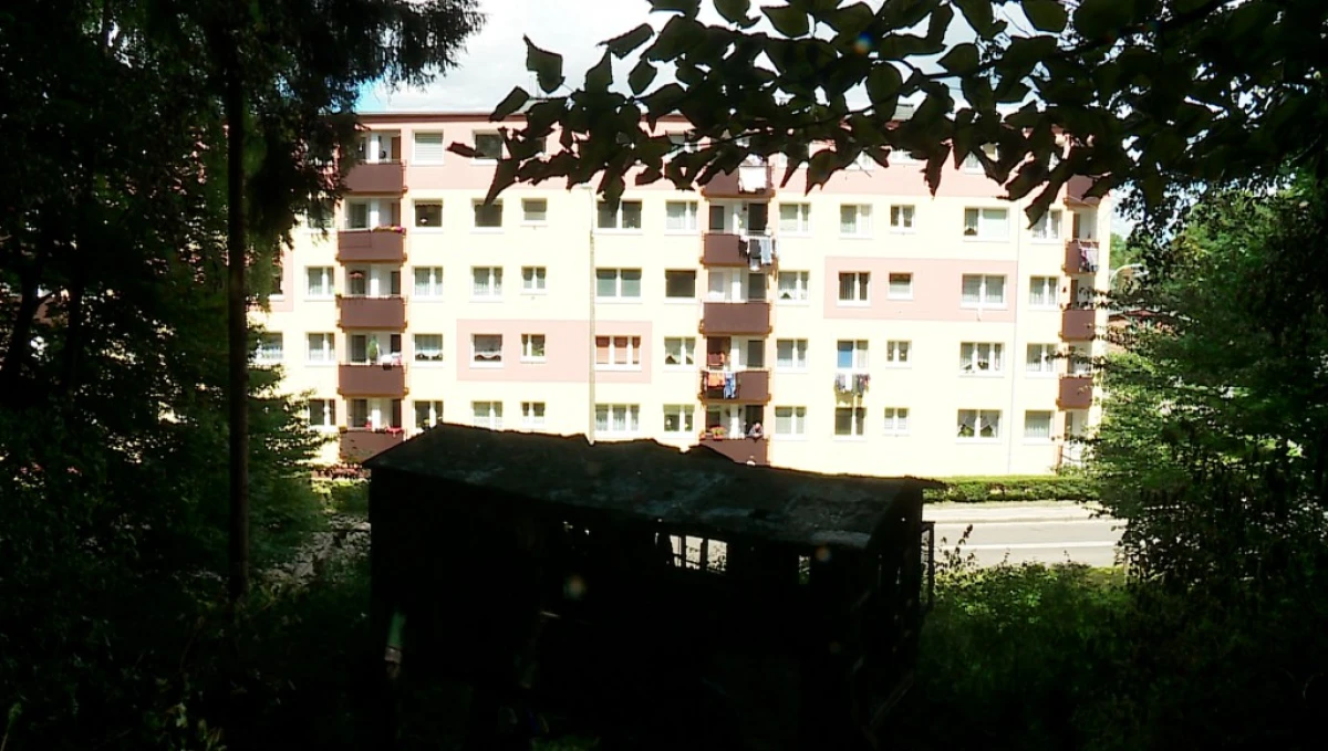 Zdjęcie