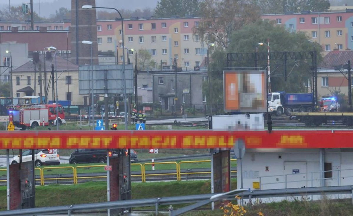 Zdjęcie