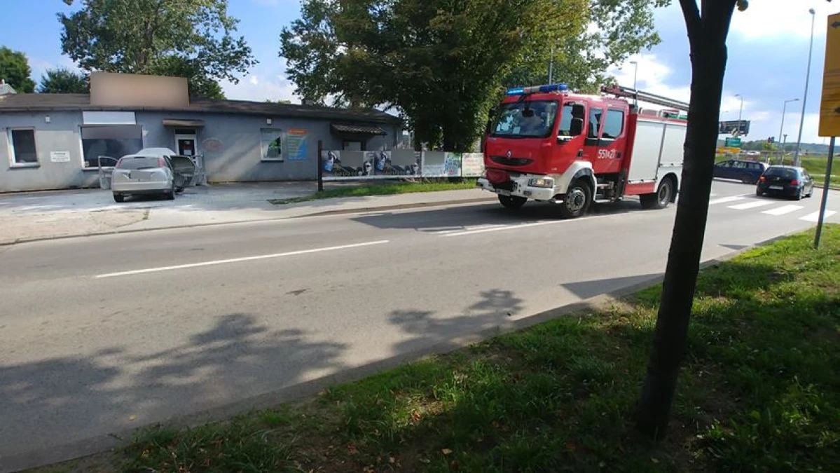 Zdjęcie