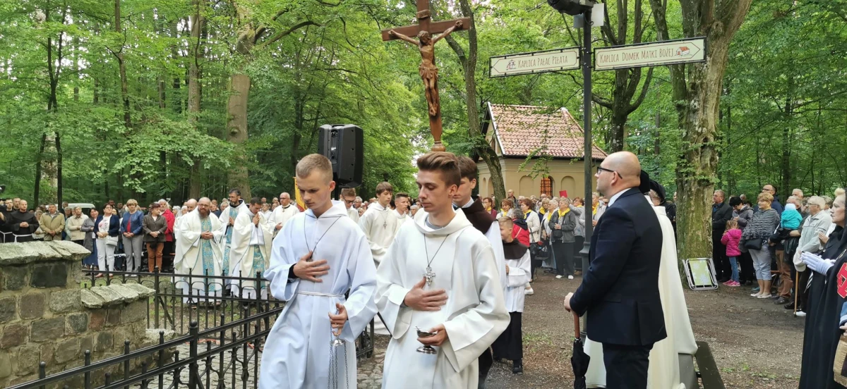 Zdjęcie