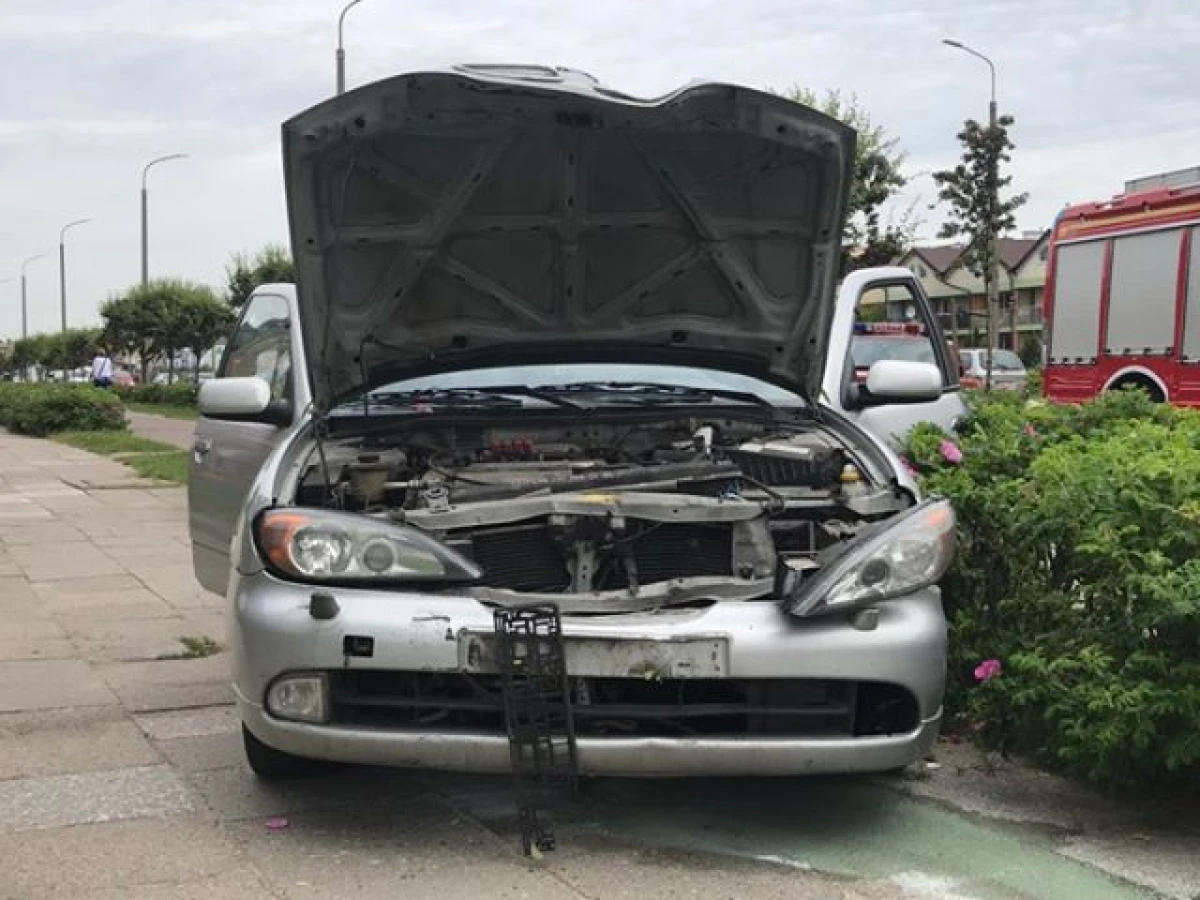 Zdjęcie