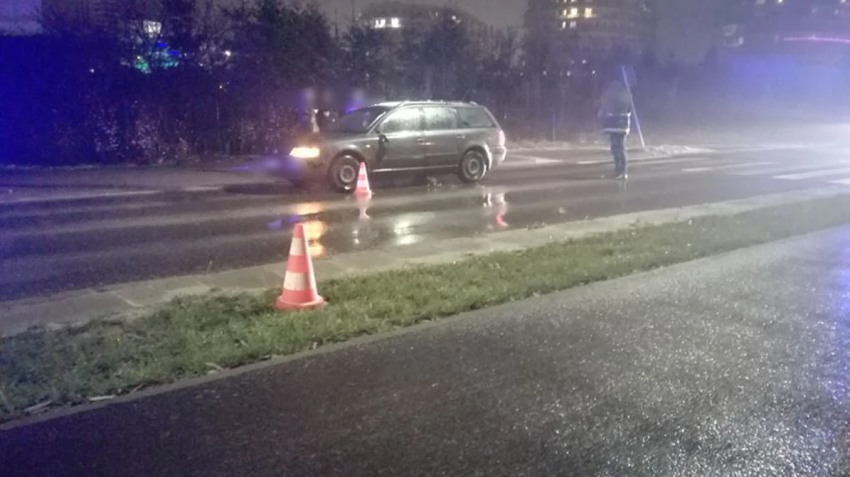 Zdjęcie