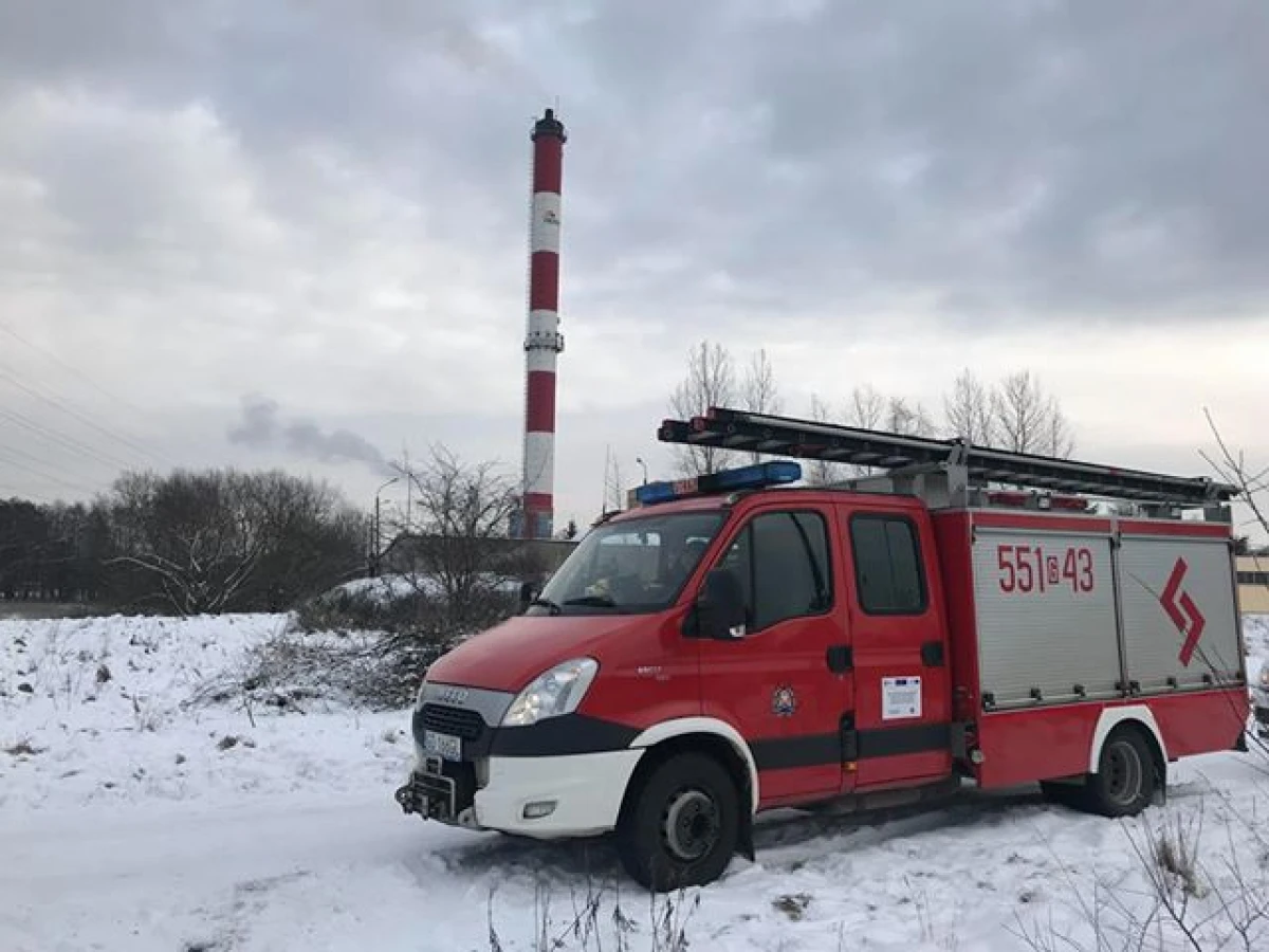 Zdjęcie