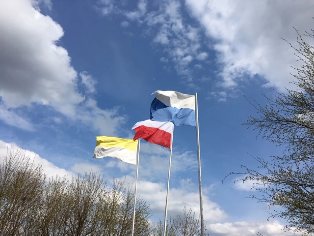 Zdjęcie