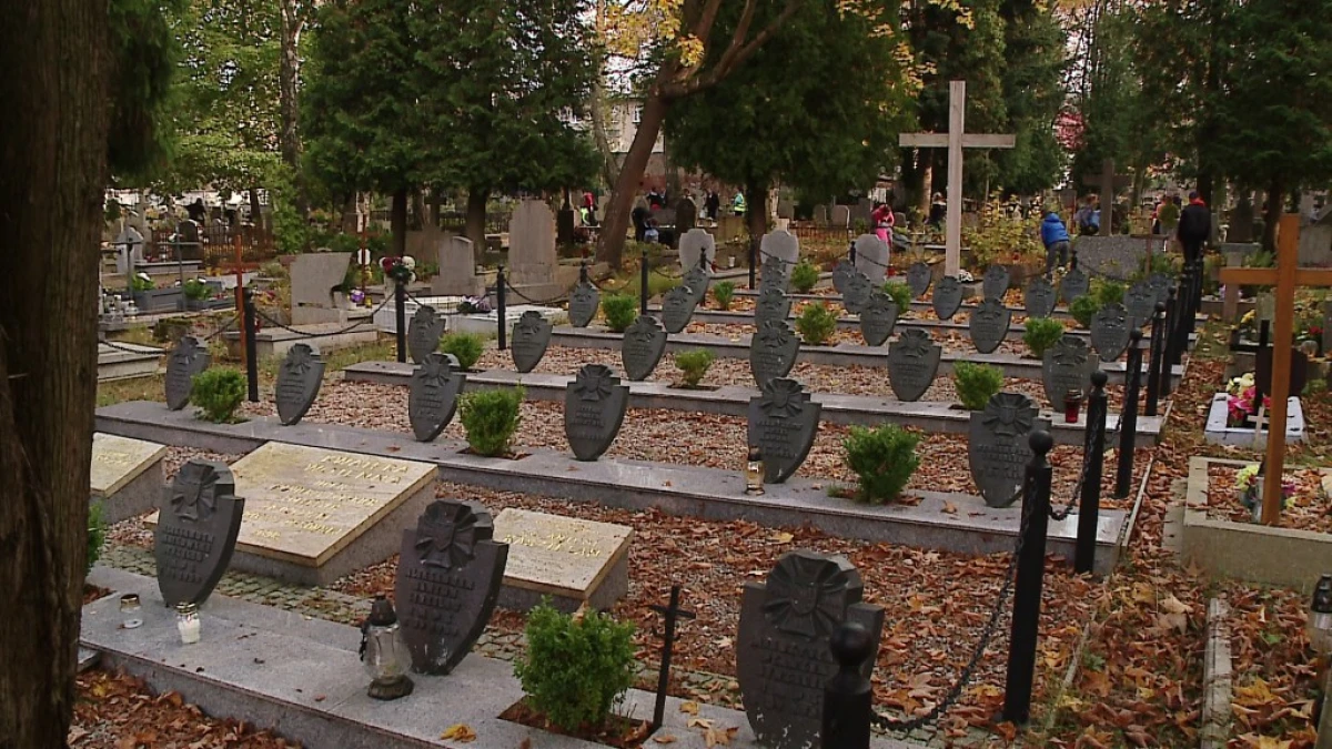 Zdjęcie