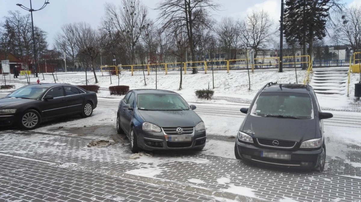 Zdjęcie