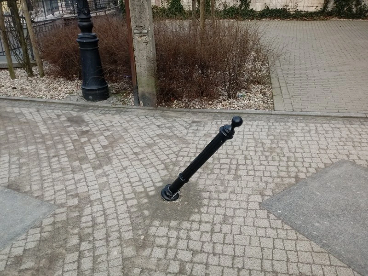 Zdjęcie