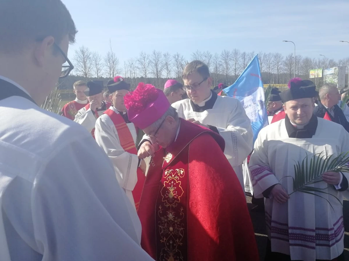 Zdjęcie