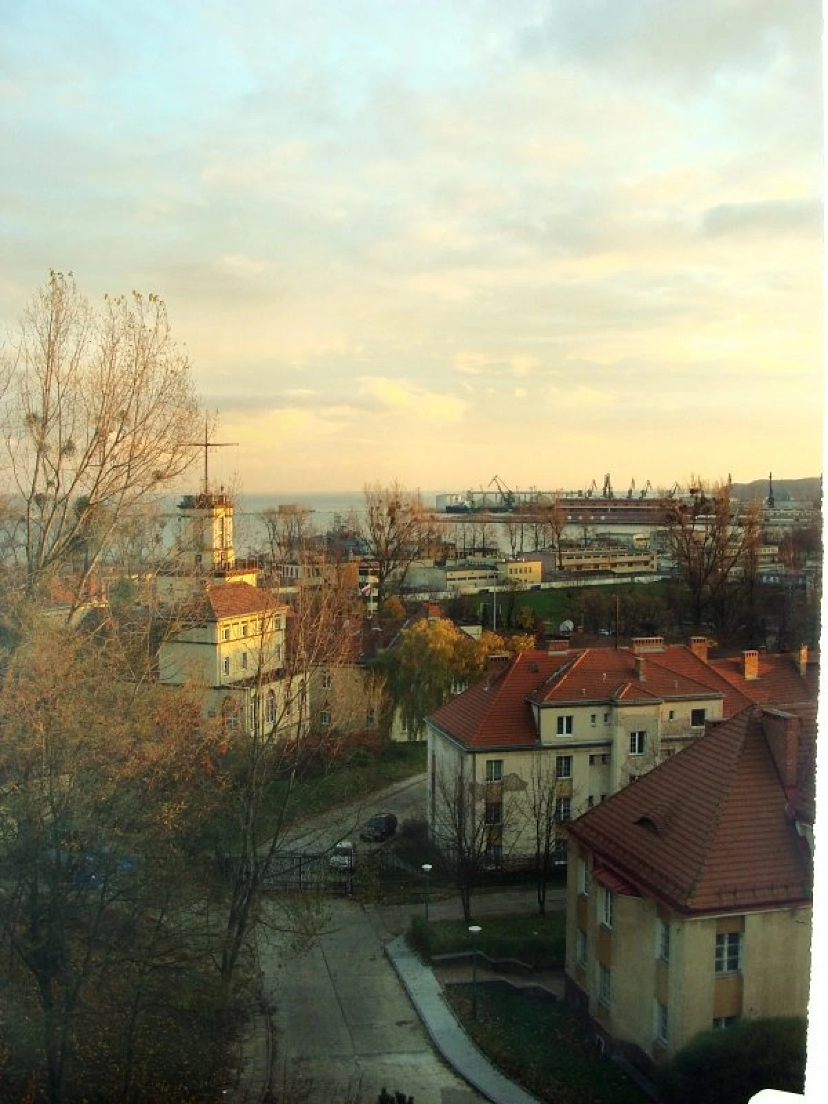 Zdjęcie