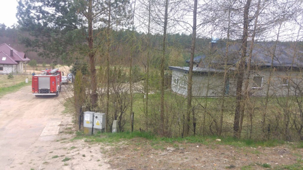 Zdjęcie