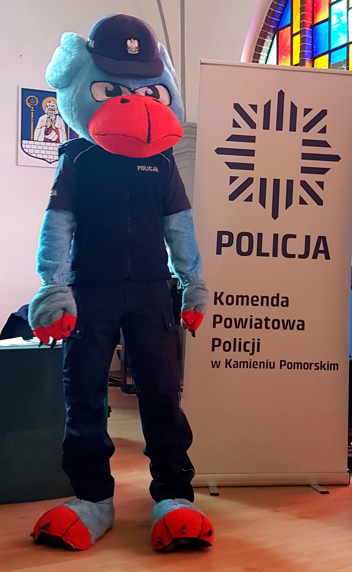 Zdjęcie