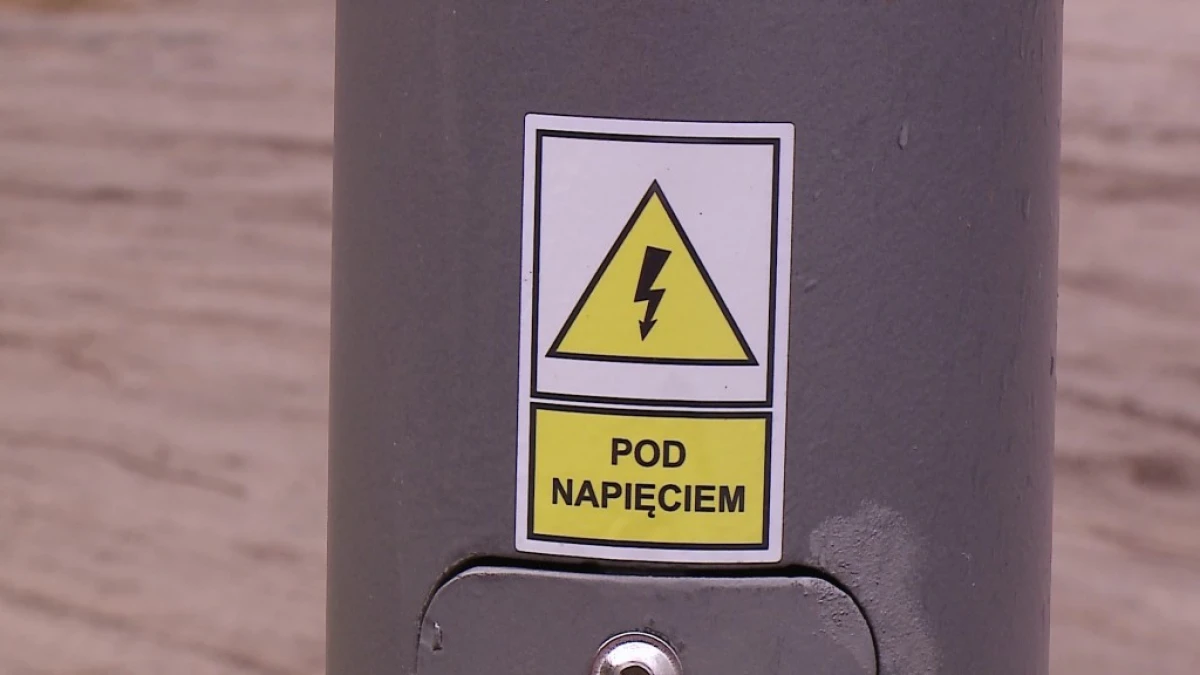 Zdjęcie