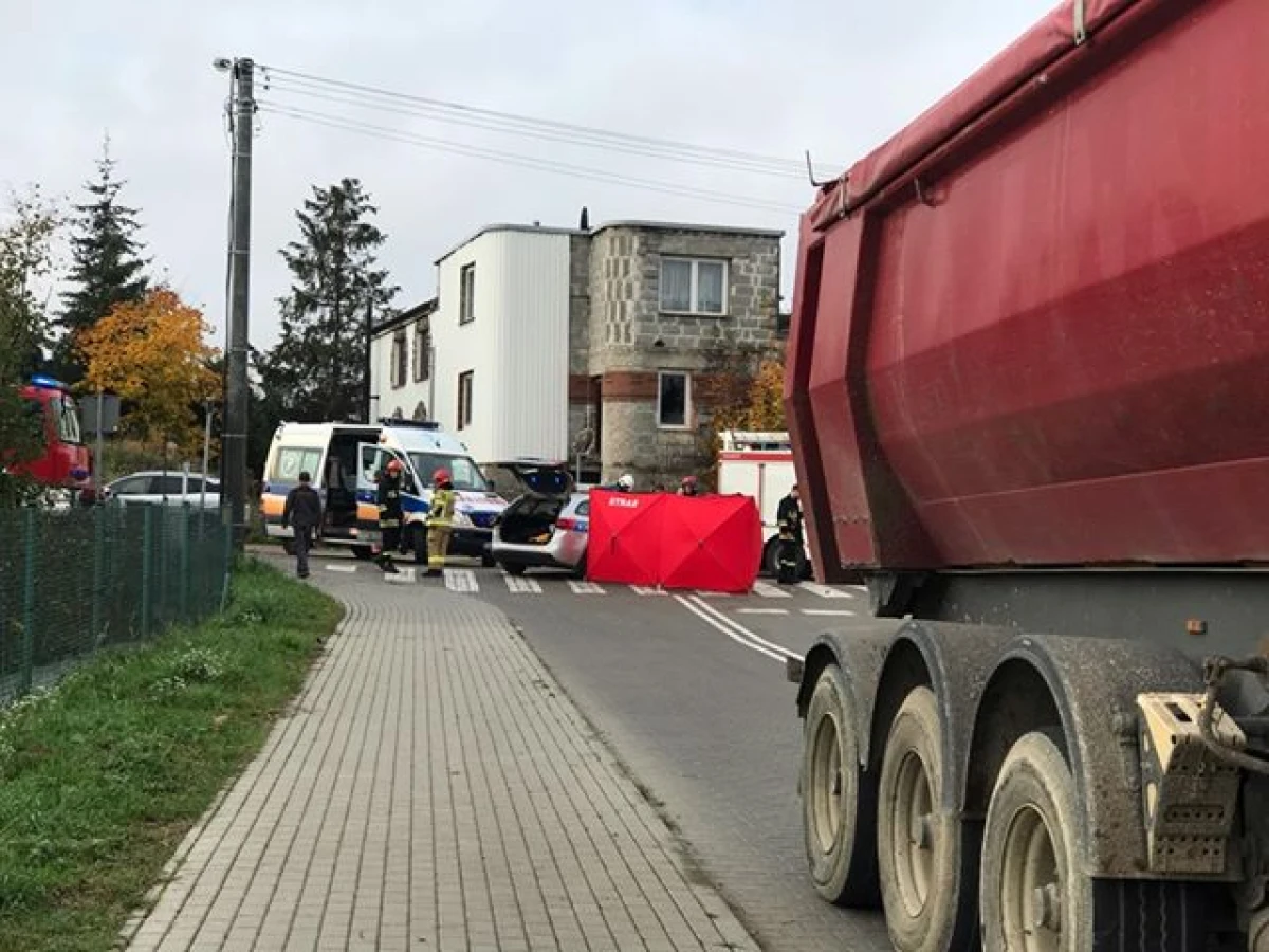 Zdjęcie