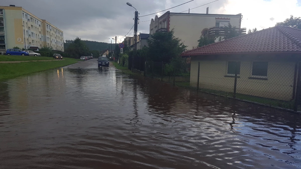 Zdjęcie