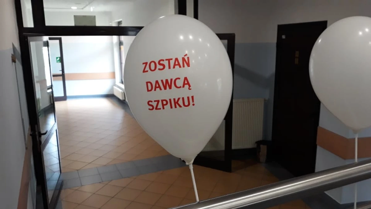 Zdjęcie