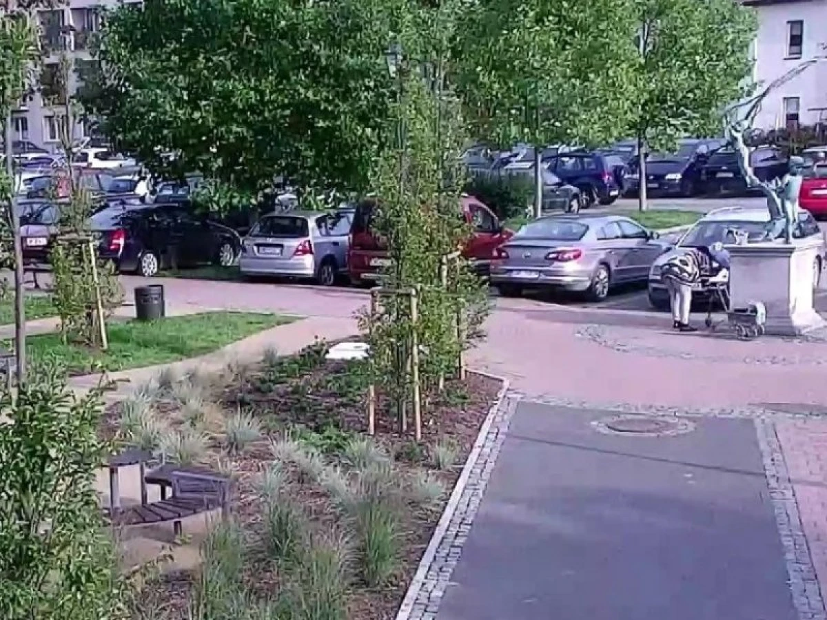 Zdjęcie
