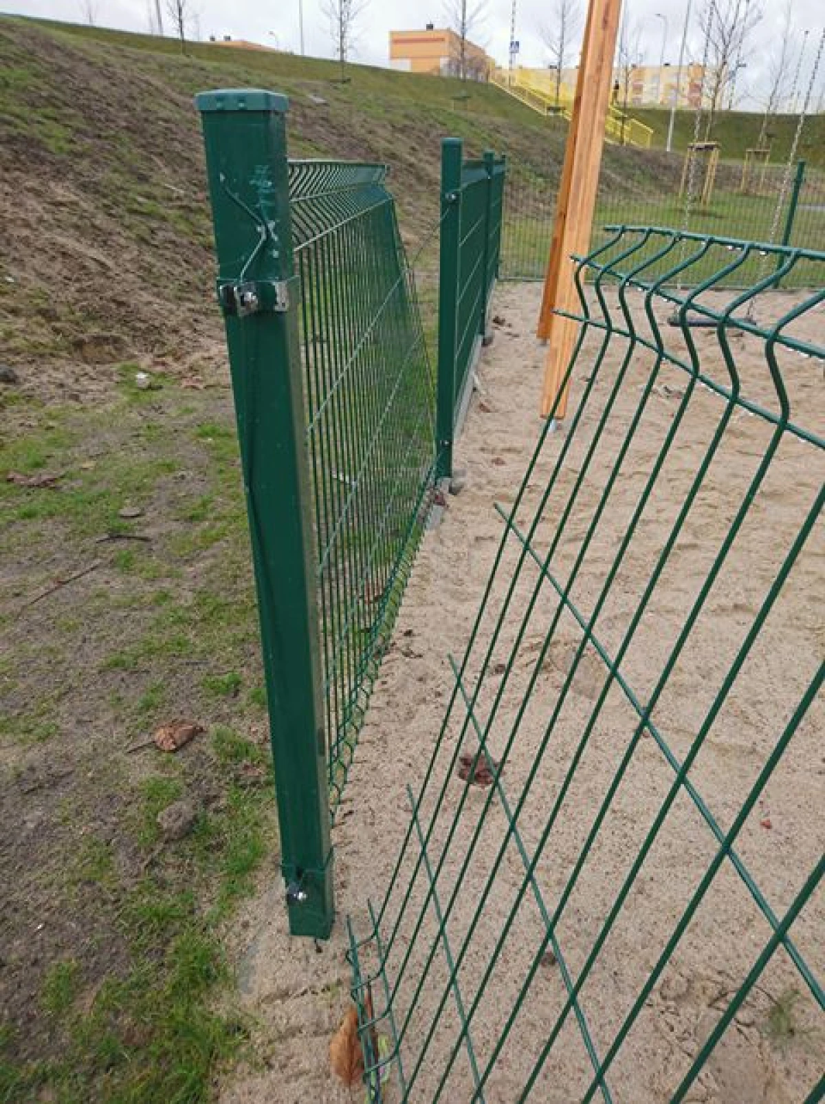 Zdjęcie