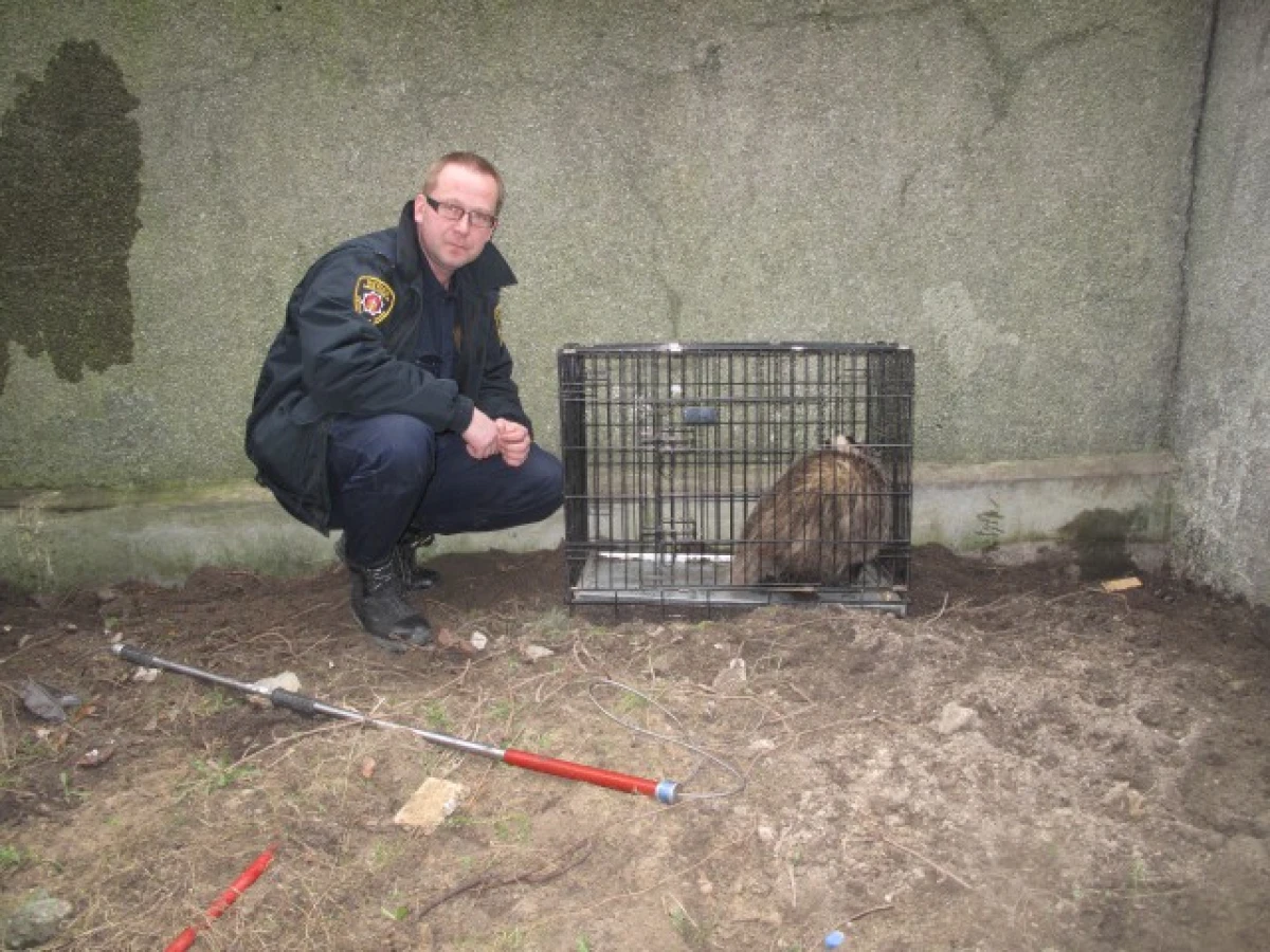 Zdjęcie