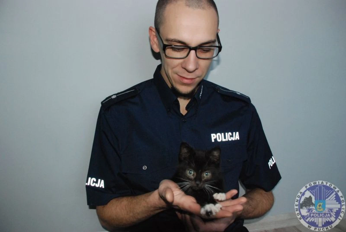 Zdjęcie