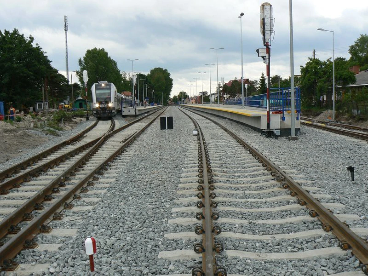 Zdjęcie