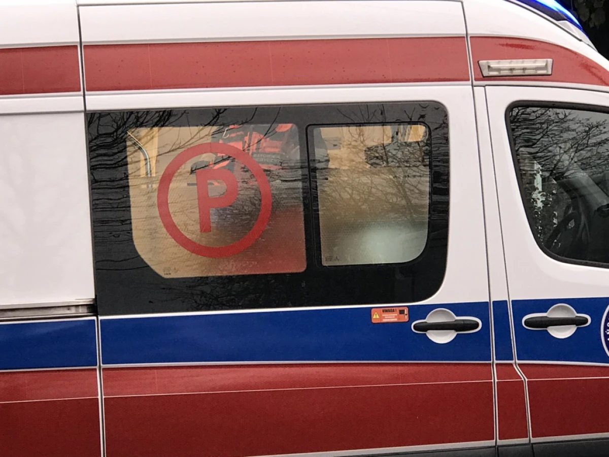 Zdjęcie
