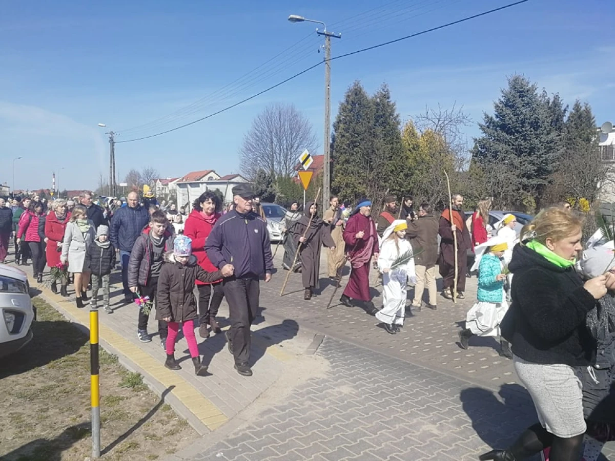 Zdjęcie