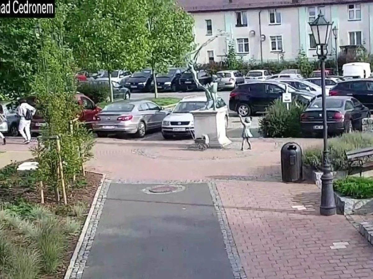 Zdjęcie