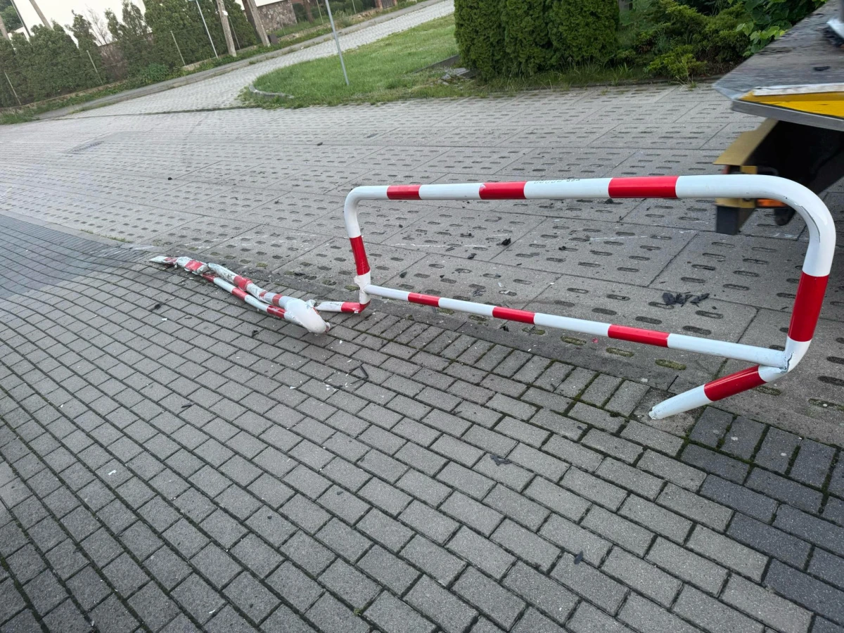 Zdjęcie