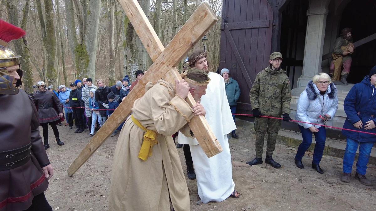 Zdjęcie