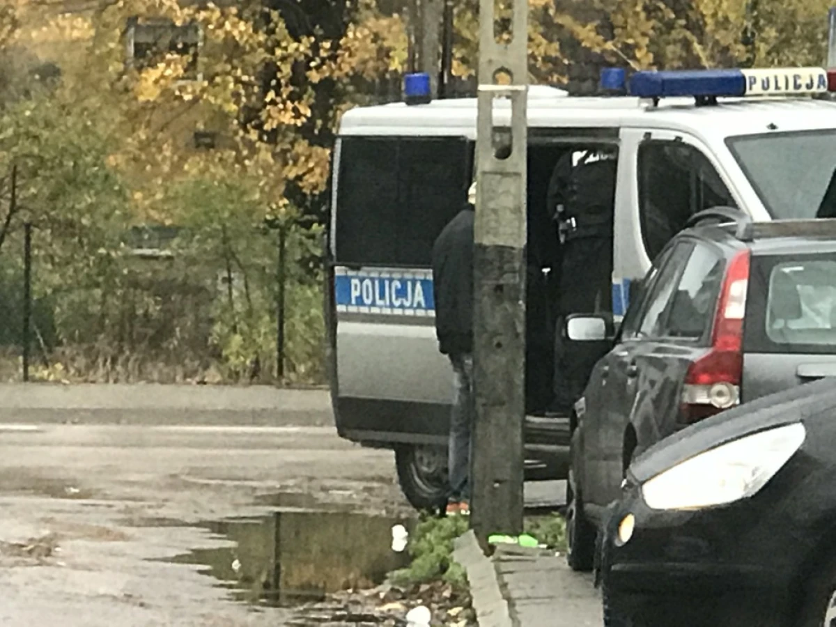 Zdjęcie