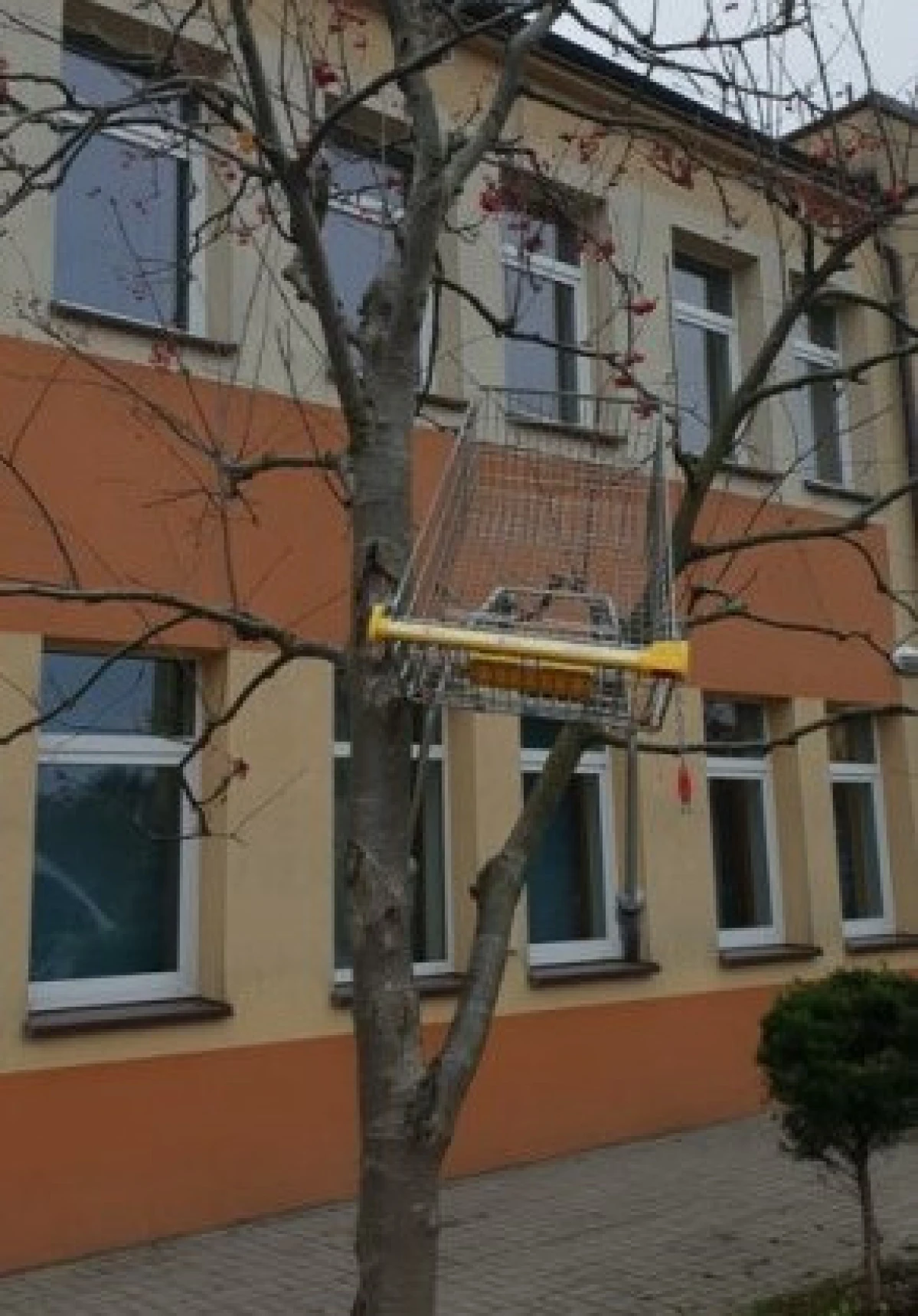 Zdjęcie