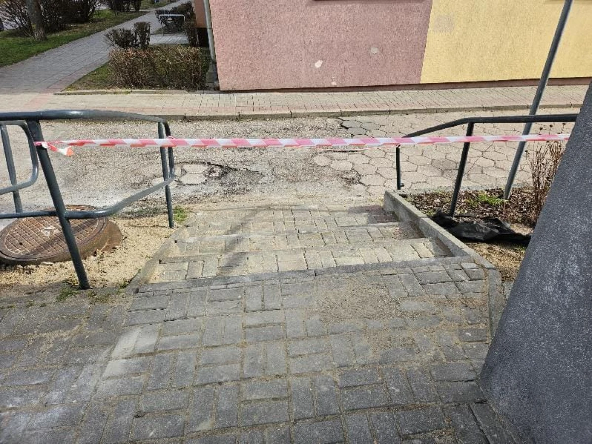 Zdjęcie