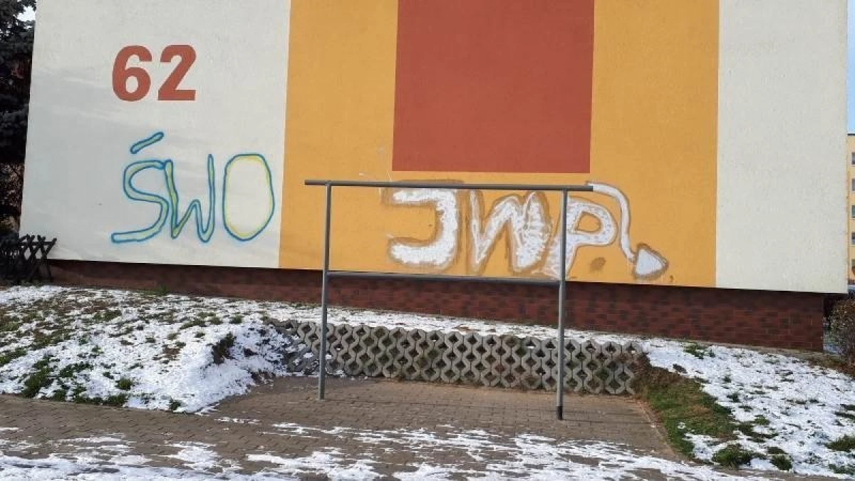Zdjęcie