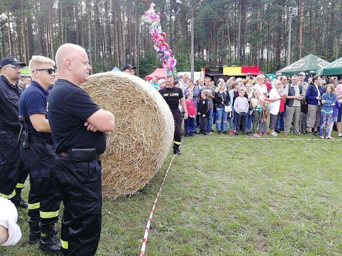 Zdjęcie