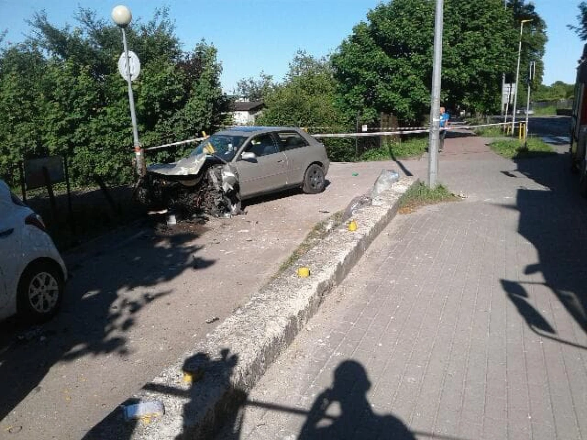 Zdjęcie