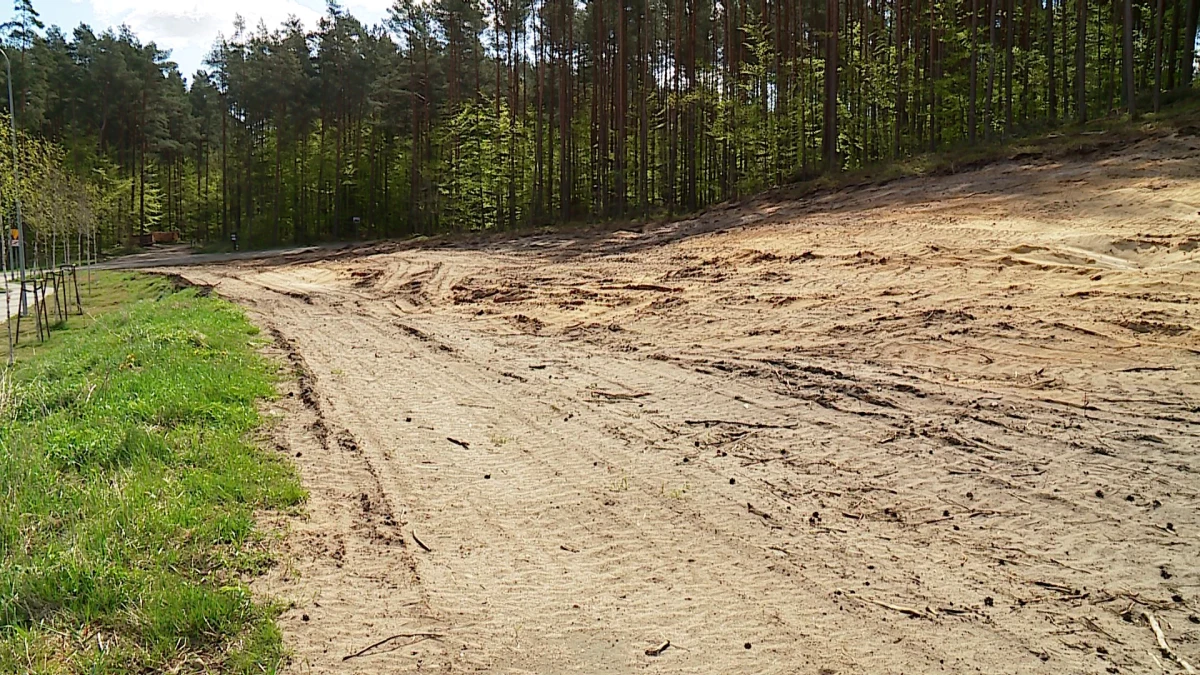 Zdjęcie