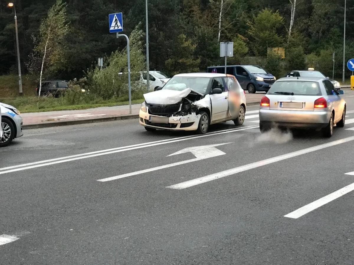Zdjęcie